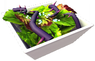 Night Thorn Sprout Salad.png