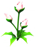 Pink Luminescent Flower.png