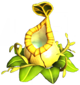 File:Yellow Pitcher Plant.png