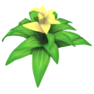 File:Yellow Bromeliad.png