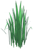 File:Tall Jungle Reeds.png