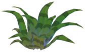Snake Plant.png