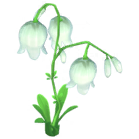 File:White Bell Flower.png