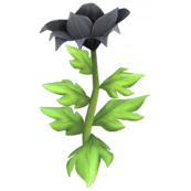 Black Passion Lily.png