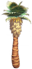 File:Large Dune Palm.png