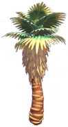 File:Small Dune Palm.png