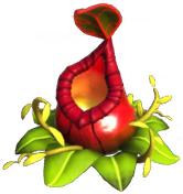 File:Red Pitcher Plant.png