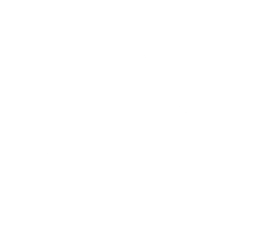 File:Cinderella Slipper Emblem.png