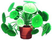 File:Potted Lily Pad Bush.png