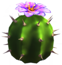 Purple Cactus Flower.png