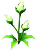 File:Green Luminescent Flower.png