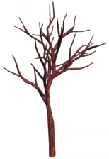 File:Bare-Limbed Tree.png