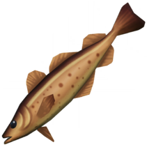 File:Cod.png