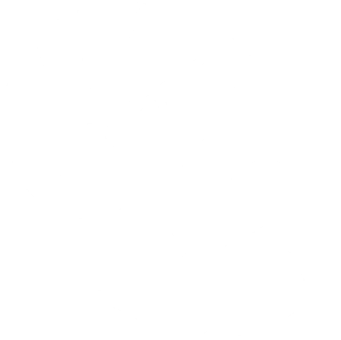 File:Seashell Motif.png