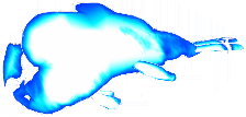 File:Weird Fish.png