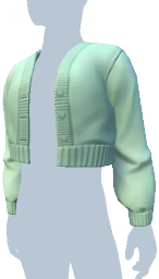 File:Blue-Green Cropped Cardigan m.png