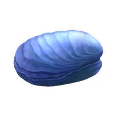 File:Oyster.png