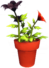File:Red and Black Passion Lily Pot.png