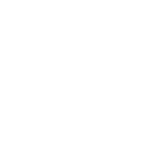 File:Pirate Emblem Motif.png