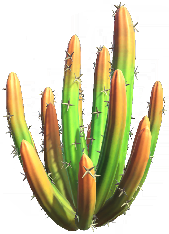 Tinted Crown Cactus.png