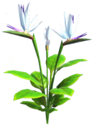 File:White Bird of Paradise.png