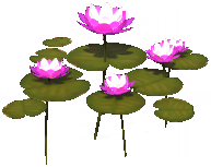 Water Lily Cluster.png