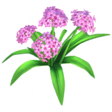 Pink Hydrangea.png