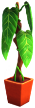 Philodendron in Orange Pot.png