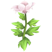 White Passion Lily.png