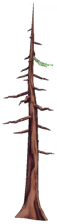 File:Dead Pine Tree.png