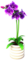Purple Orchid in White Pot.png