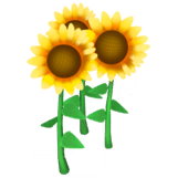 File:Sunflower.png