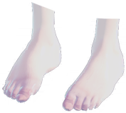 File:Bare Feet.png