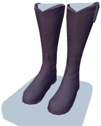 File:Black Knee-High Boots m.png