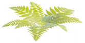 File:Glade of Trust Fern.png