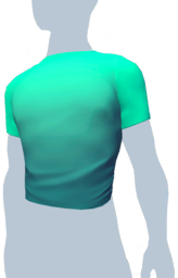 Plain Turquoise T-Shirt m.png