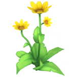Yellow Daisy.png