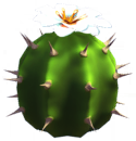 File:White Cactus Flower.png