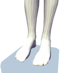 File:White Knee-High Socks m.png