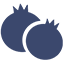 Blueberries Icon.png