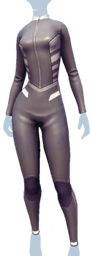 File:Gray Wetsuit.png