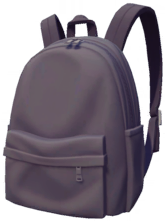 Gray Backpack.png