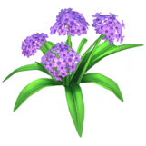 File:Purple Hydrangea.png