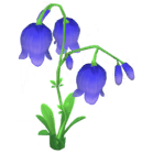 File:Purple Bell Flower.png