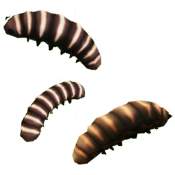 File:Worms.png
