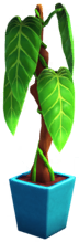 Philodendron in Blue Pot.png