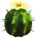 Yellow Cactus Flower.png