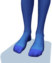 File:Blue Knee-High Socks m.png