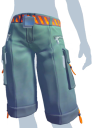 Teal Cargo Shorts.png