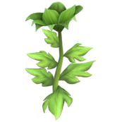 File:Green Passion Lily.png